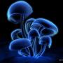 Mark Denney Photo 22