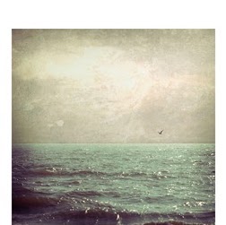Amy Kunz Photo 24