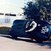 Terry Larsen Photo 44