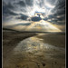 Ray Holland Photo 33