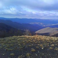 Andrew Ledford Photo 24