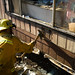 Shawn Mcclintock Photo 7