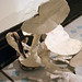 Christa Staples Photo 5