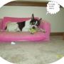 Rhonda Howell Photo 24