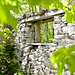 Alexander Mcneil Photo 9