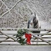 Sharon Tubbs Photo 16