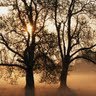 Allison Hopper Photo 20