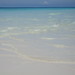 Sandy Turk Photo 11