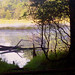 Virginia Beaver Photo 17