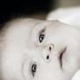 Kenneth Fink Photo 16