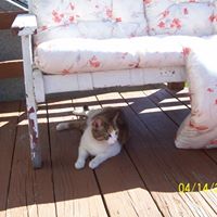 Nancy Stevens Photo 8