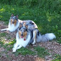 Debra Zeller Photo 6
