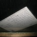 Harry Shedd Photo 13