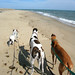 April Beach Photo 16