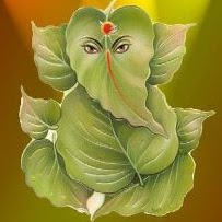Sudha Patel Photo 25