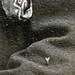 Franklin Cooley Photo 9