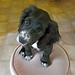 Harvey Sharp Photo 6
