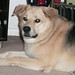 Edgar Barron Photo 12