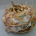 Elizabeth Peach Photo 6