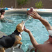 Nancy Whitley Photo 17