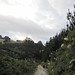 Jo Petersen Photo 23