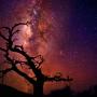 Jim Allred Photo 23