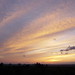 Shirley Hill Photo 12