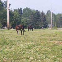 Timothy Arsenault Photo 12