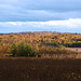 Paul Alliston Photo 2