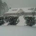 Mike Slaughter Photo 15