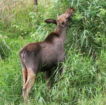 Elizabeth Hulst Photo 2