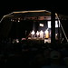 Dale Tuttle Photo 21