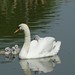 Deborah Cheshire Photo 14