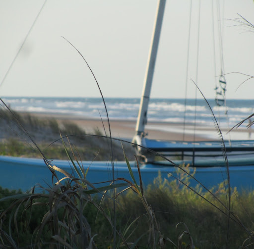 Kimberly Bruce Photo 13