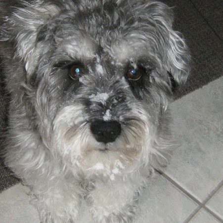 Cindy Blackburn Photo 15