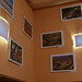 Vu Le Photo 20