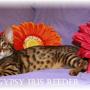Lori Reeder Photo 15