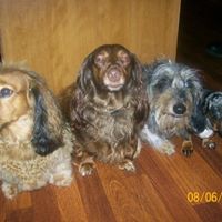 Ellen Miller Photo 10