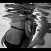 Liz Pool Photo 4