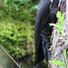 Nanette Lewis Photo 8