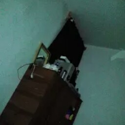 Hilario Flores Photo 10
