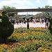 Jeanne Potts Photo 9