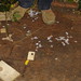 Bob Rector Photo 7