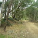 Coleen Roberts Photo 8