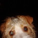 Sue Borne Photo 12