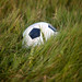 Mark Nordin Photo 18