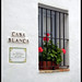 Blanca Gutierrez Photo 31