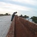 Greg Keys Photo 14