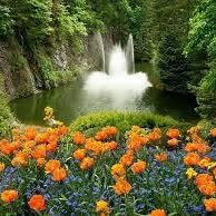 Debbie Rogers Photo 24