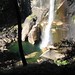 Sarah Kraus Photo 8